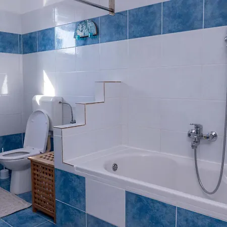 Hiša za goste The Blue House *