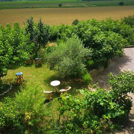 Gasthuis The Blue House Sečovlje