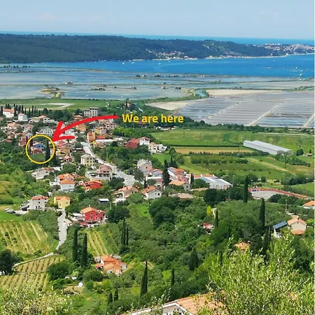 Guest house The Blue House Secovlje