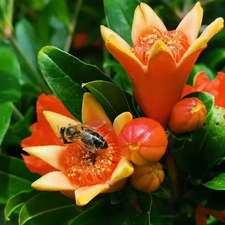 The Blue House Secovlje