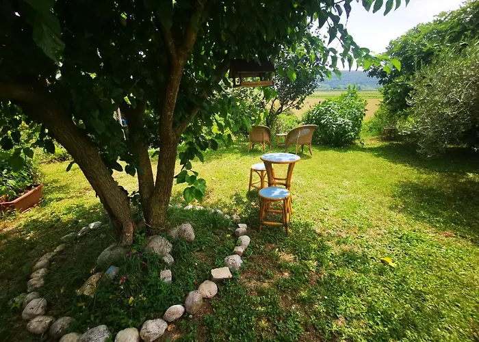 Gæstehus The Blue House *