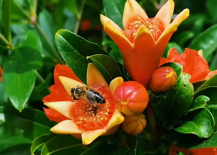The Blue House Sečovlje